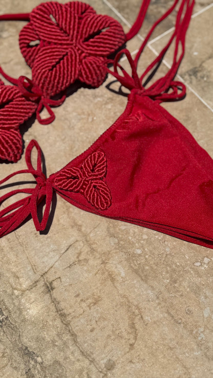 LOTUS RED