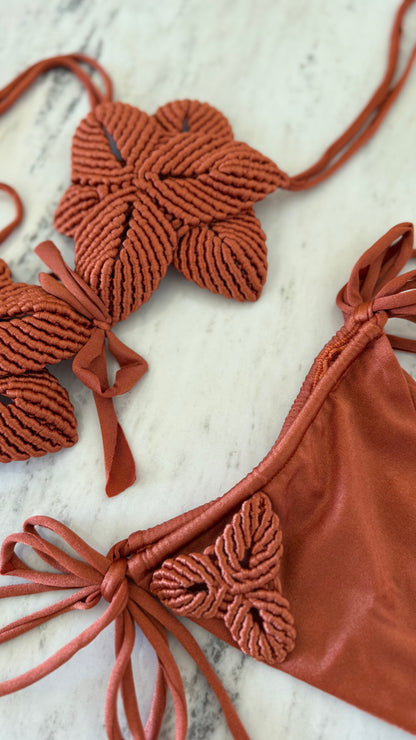 LOTUS TERRACOTA