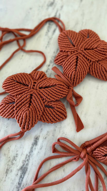 LOTUS TERRACOTA
